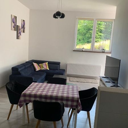 Appartement Bialy Domek Apartament Skoczów Extérieur photo